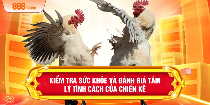 Kiểm tra sức khỏe và đánh giá tâm lý tính cách của chiến kê